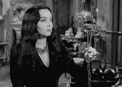 addams family values gif|morticia addams gif.